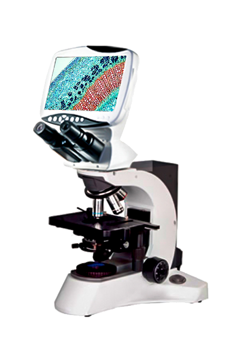 偏光显微镜DMS-756