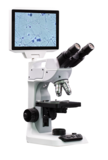 实体显微镜AS2100